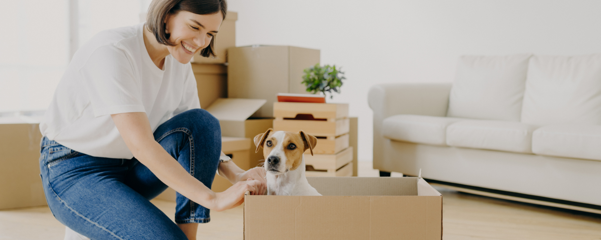 preparing to move with pets